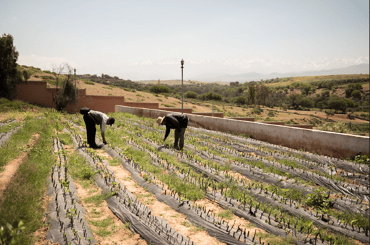 Screenshot 2024 01 24 at 12 24 34 PM