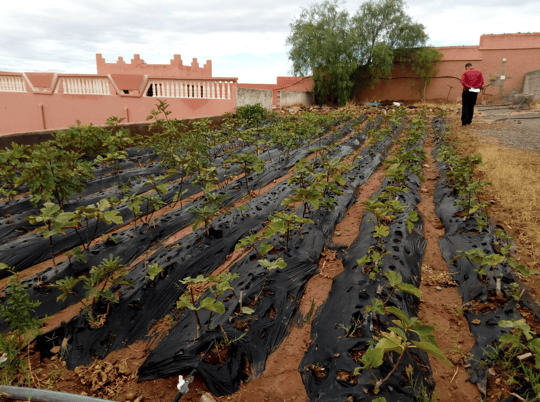 Screenshot 2024 01 25 at 10 59 25 AM