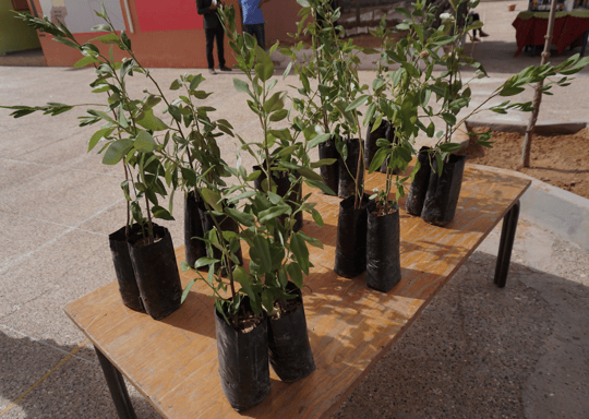 Screenshot 2024 01 25 at 12 16 48 PM