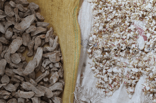 Screenshot 2024 01 26 at 1 37 49 PM