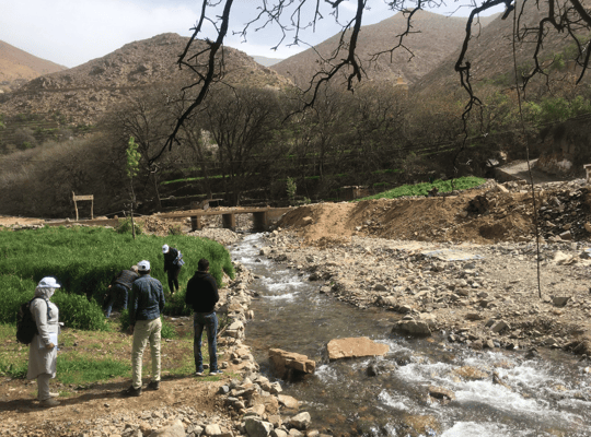 Screenshot 2024 01 26 at 2 25 42 PM