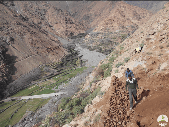 Screenshot 2024 01 29 at 10 56 20 AM