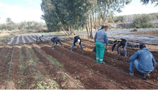 Screenshot 2024 04 08 at 11 41 36 AM