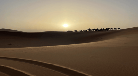 Screenshot 2024 04 08 at 12 23 15 PM