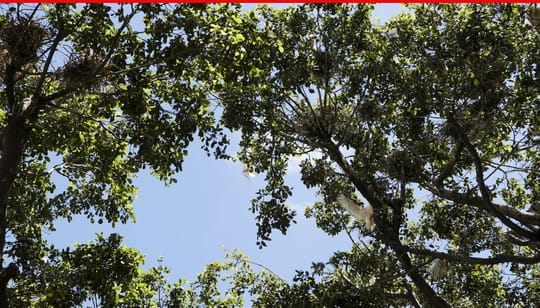 Screenshot 2025 01 24 093526