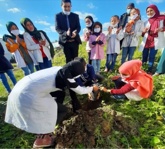 Students of Maruf al Rusafi School planting trees