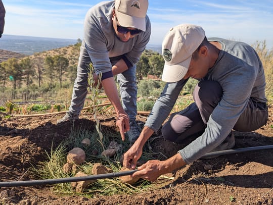 Talat N Mimoun 02 25 92