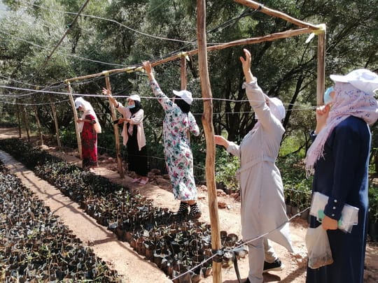 Tassa Ouirgane nursery