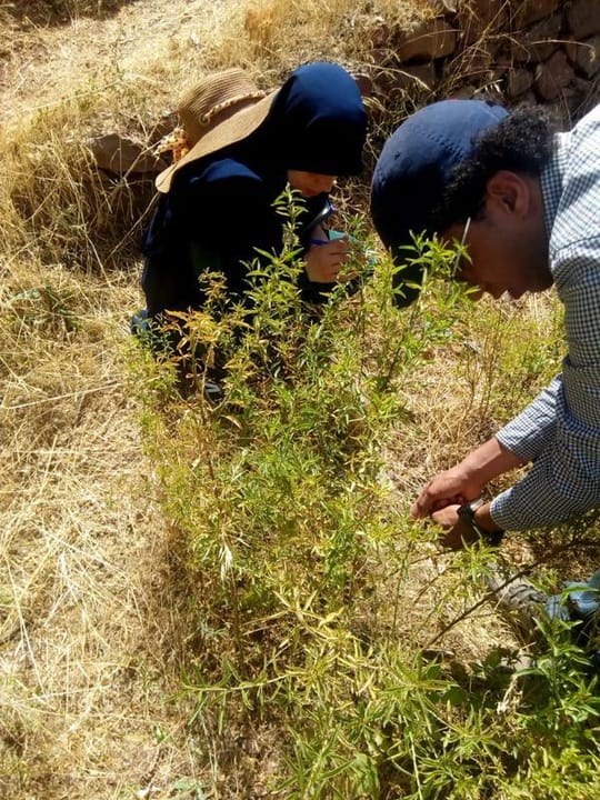 Whats App Image 2019 08 08 at 14 43 08 1