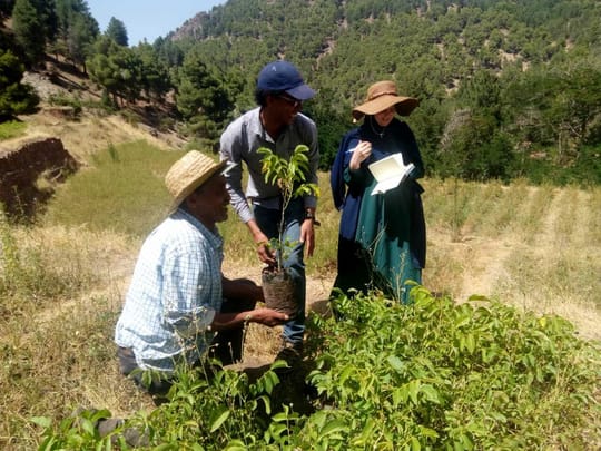 Whats App Image 2019 08 08 at 14 41 49