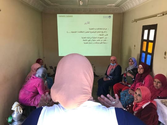 Whats App Image 2021 03 12 at 00 05 33 6