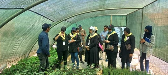 Whats App Image 2021 06 17 at 16 21 58 2