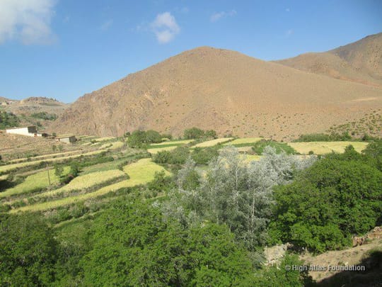 Whats App Image 2021 08 19 at 13 05 27