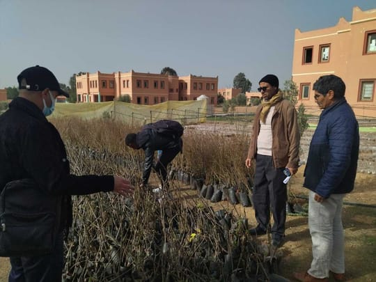 Whats App Image 2022 02 01 at 18 28 30 1