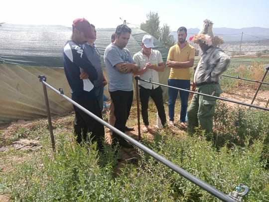 Whats App Image 2024 02 08 at 5 23 10 PM 1