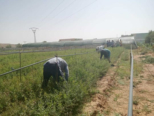 Whats App Image 2024 02 08 at 5 23 10 PM