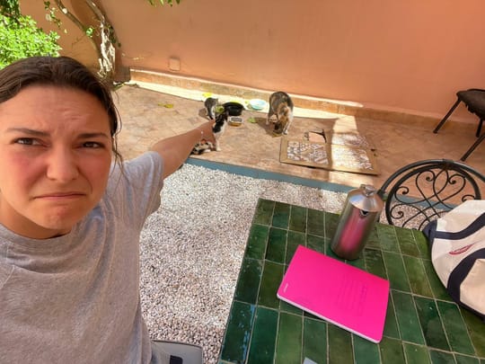 Whats App Image 2024 04 09 at 11 40 59 AM