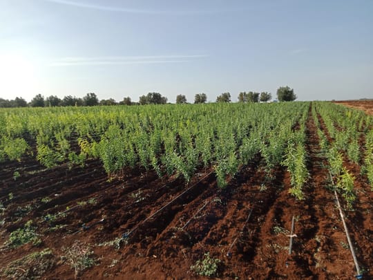 Whats App Image 2024 09 11 at 12 47 47