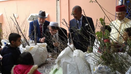 242786605897503885942o