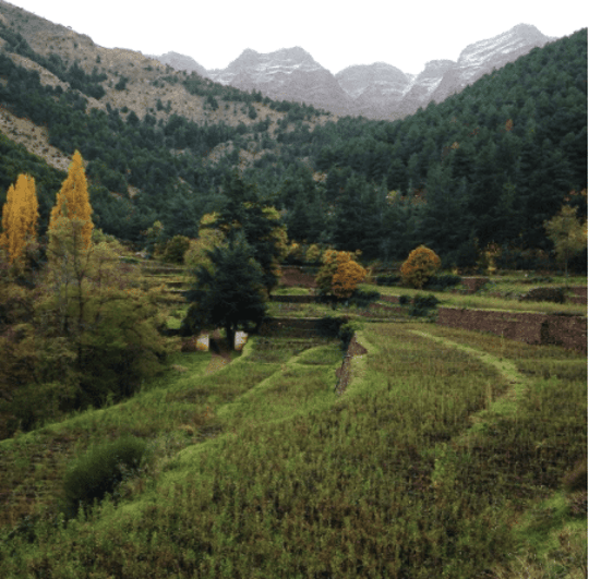 Capture decran 2021 09 15 110509