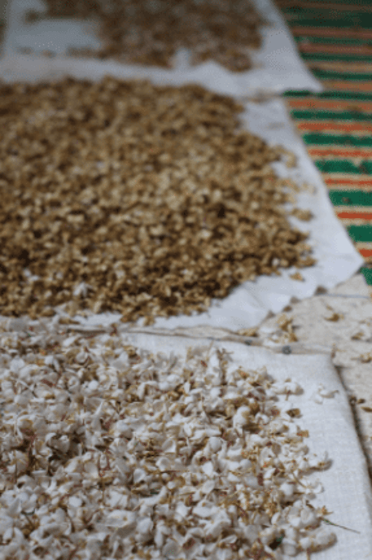 Capture decran 2021 09 15 110846