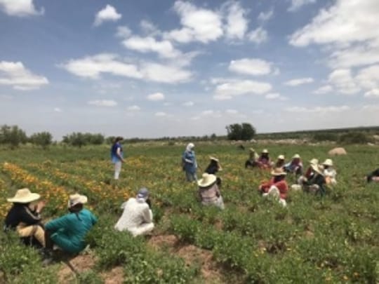 Aboghlou morocco 400x300 300x225