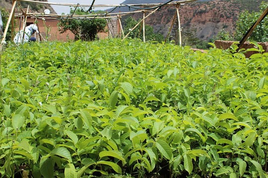 27643905665 8997ab2013 z