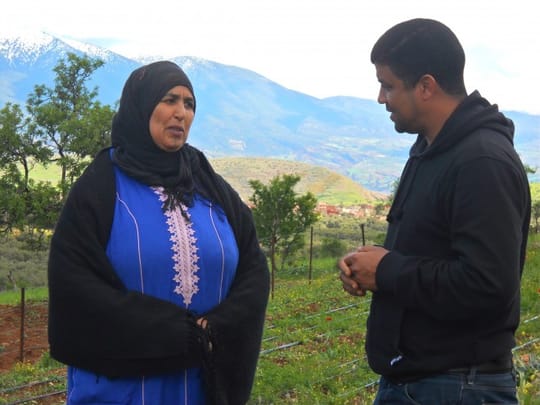 High atlas mountains botany 660x495