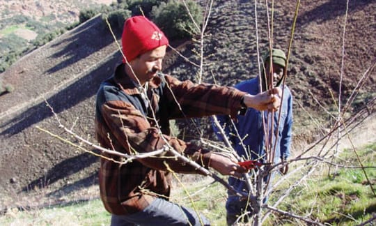 Fondation du Haut Atlas