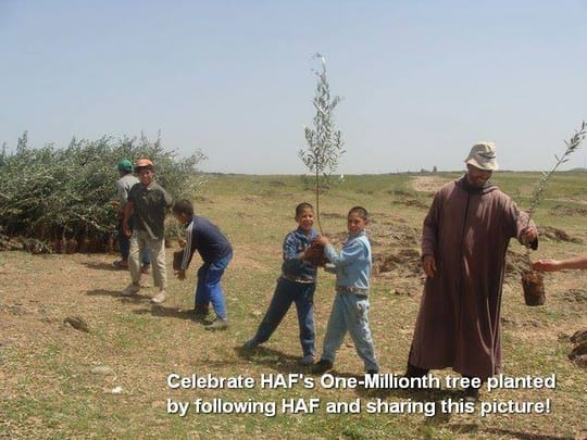 Morocco and the High Atlas Foundation Celebrate World Environment Day