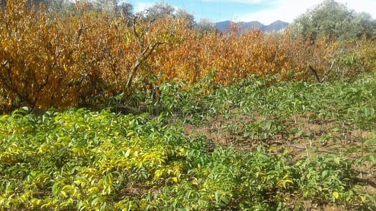 20191126 112638 resized