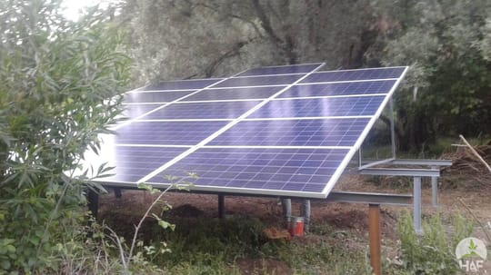 47951759836 c146aa0506 o