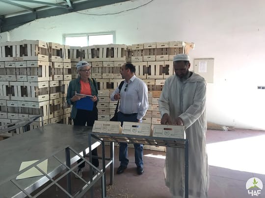 49027577118 615d1c0ab4 c