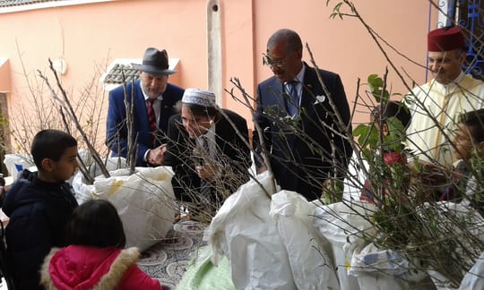 24278660589 7503885942 o min