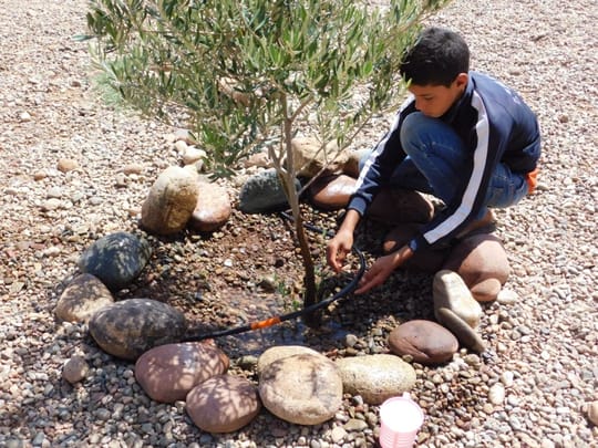 34413539732 01ab6aa4e4 o 1