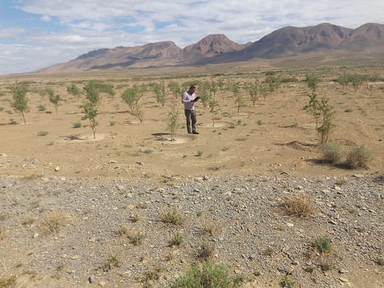 44318769764 a1d88861a7 z