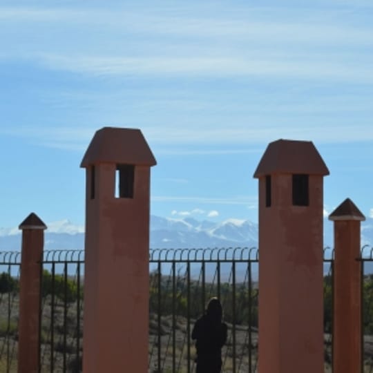 64e47a61 fef6 424f 9dab ad627d4c097a 300x300