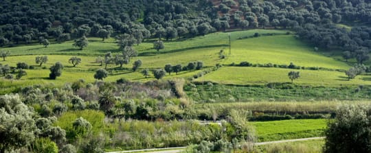 8663104321 4f287eba5b o 1160x480