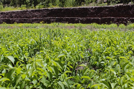 26941649183 5b813490fd 3k