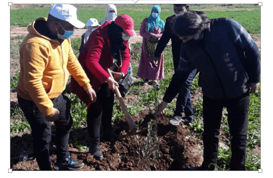 Image 2021 03 01 024935