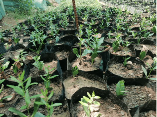 Capture decran 2021 07 26 103320