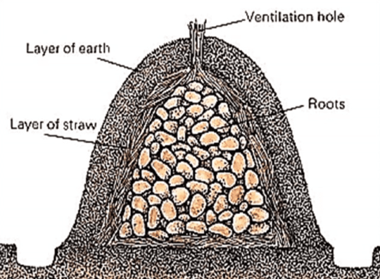 Screen Shot 2021 07 20 at 12 44 08 PM