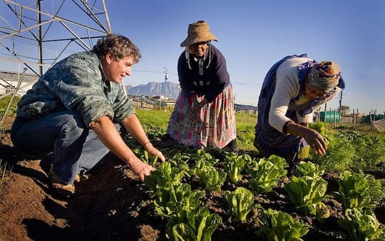 Africa Food Security