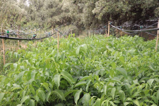 Capture decran 2021 11 19 153619