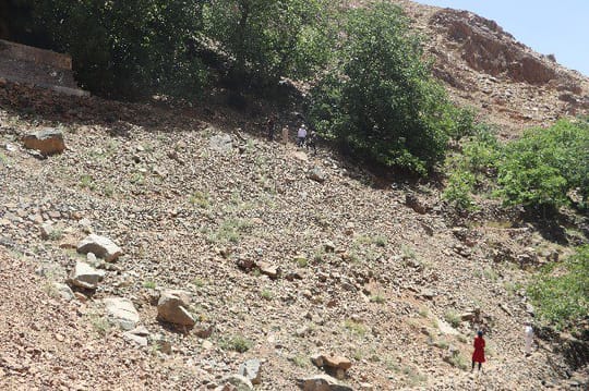 3e23d241 8334 f445 3546 a64d2324f18d