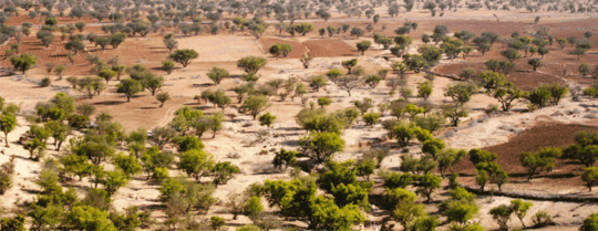 Capture decran 2022 09 20 121318