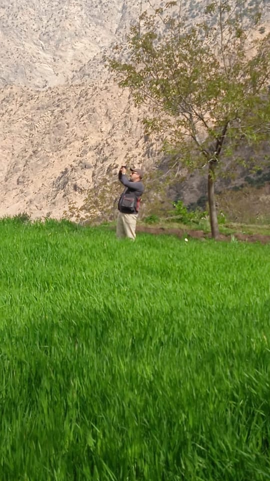 B5bcdc7e 602f 47fe aaf6 e6e597a0475f