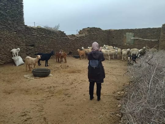 Ahl Rhoufrane farmer with livestock
