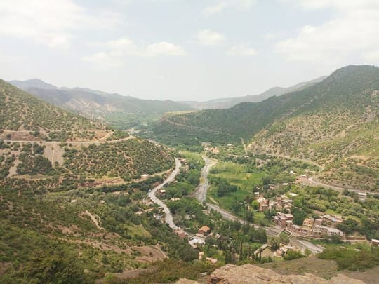 Cogwheel of sustainability