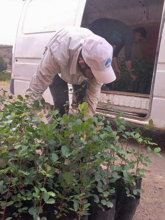 Ef772f31 c076 45b2 b43f d17b1edd43b7